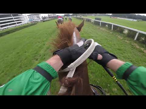 III. kvalifikace na 131. Velkou pardubickou se Slavia pojišťovnou - Lodgian Whistle a Josef Bartoš