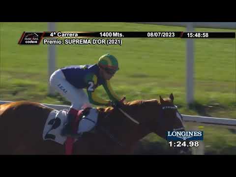 230708 c04 WARRIOR (BRZ)