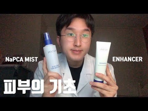 피부의 기초(Feat. NaPCA 미스트, 인핸서)[Foundation of Skin (Feat. NaPCA Mist, EHANCER)]