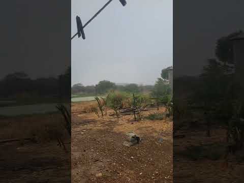 Faz. Morrinhos, São José do Seridó -RN, 28/01/2026.