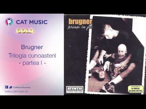Brugner - Trilogia cunoasterii (partea I)