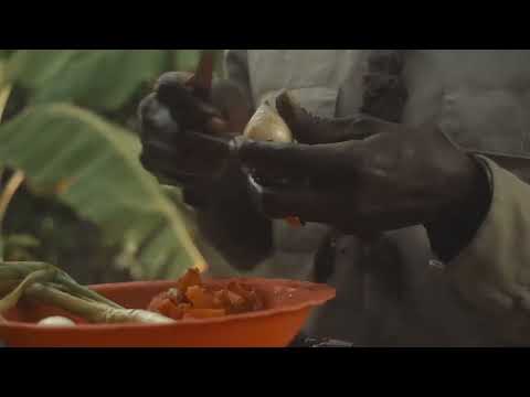 Akae Beka .ft. Tiken Jah Fakoly ( Everything Bless )