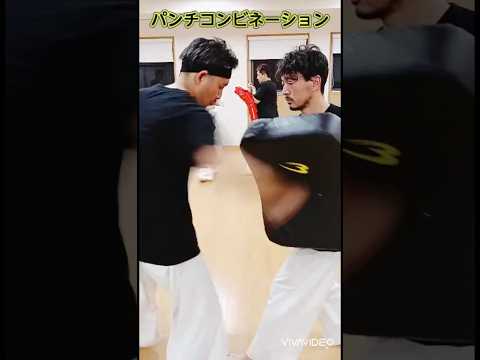 パンチコンビネーション　新潟市空手　一成会　 #workout #格闘技 #空手 #karate #新潟市空手 #一成会 #shorts