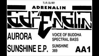 Aurora - Voice Of Buddha [HQ] (3/4)