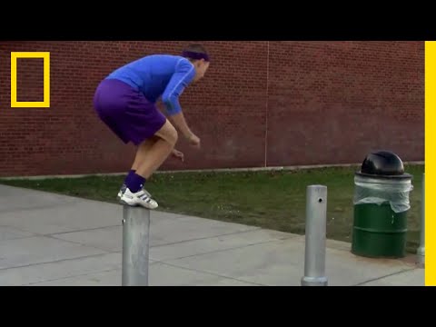 ニューサウスウェールズ州のロゴ