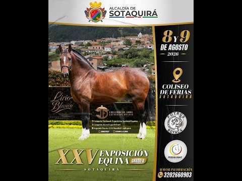 EXPOSICIÓN EQUINA GRADO B - SOTAQUIRA 2026 día 1