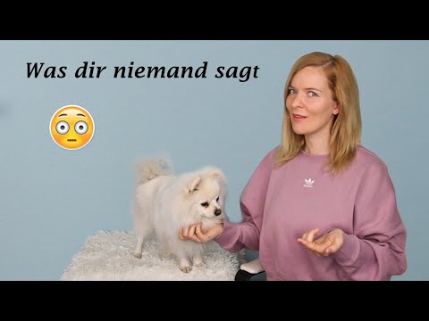 Leben mit Hund: Das hätte ich gerne vorher gewusst// Was dir niemand sagt