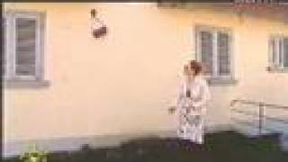 Le sac à main Die Handtasche  Humour  gag