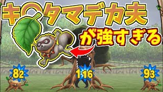#14 ポンポコだぬきのあの技が強すぎる件。【テリーのワンダーランドSP】