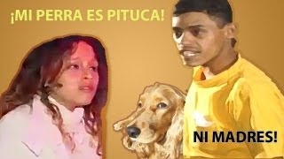 Video thumbnail of "Mi perra es pituca vs "El ni mergas" ¡Duelo Autotune!"