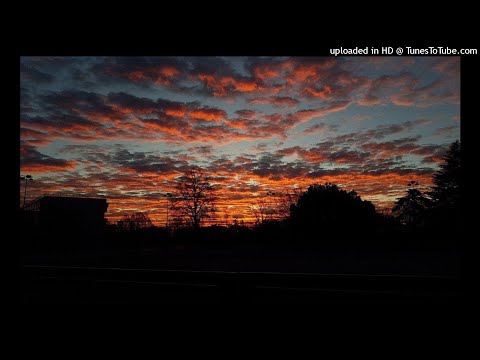 KIDDO GHOULS - PHEROMONES