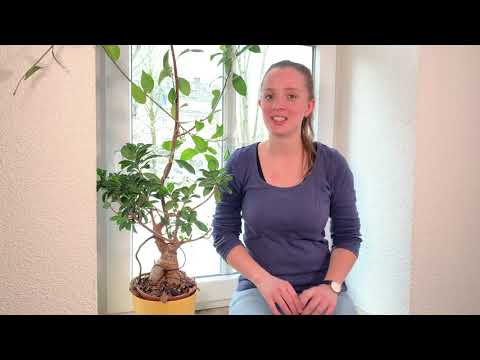 Gebets - und Fastentag  2. Innere Aufräumaktion