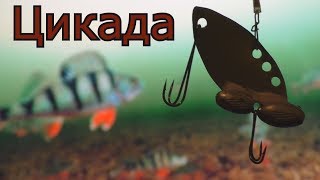 Цикады рыболовные приманки своими руками