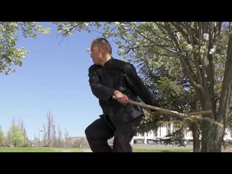 Taiji   Weapons   Double hand Chained Cudgel