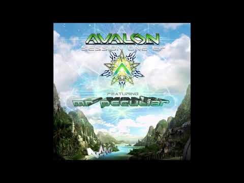 Avalon & Mr Peculiar - Final Transmission