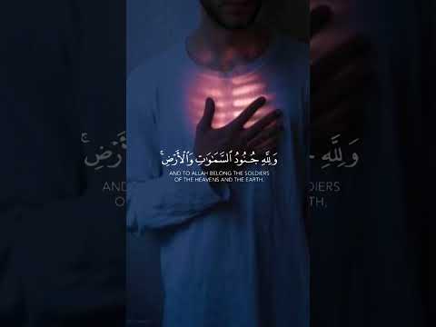 هو الذي أنزل السكينة في قلوب المؤمنين القرآن آيات اسلاميات