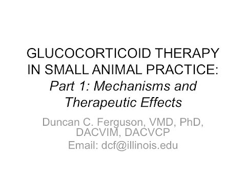 Glucocorticoid Therapy in Small Animal Practice:  Mechanisms and Therapeutic Effects