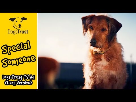 Dogs Trust - #specialsomeone