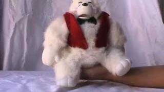 my bear's sextoy
