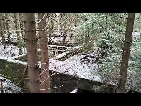 Riese. Gontowa. W tym miejscu jest zawsze 🤔..... dziwny klimat 🙄