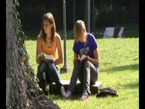 WDL Familienfreizeit-Trailer 2008