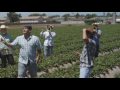 Banda los lagos - Piel de indio (Video Musical) - Banda Los Lagos Youtube Banda los lagos - Piel de indio (Video Musical)
