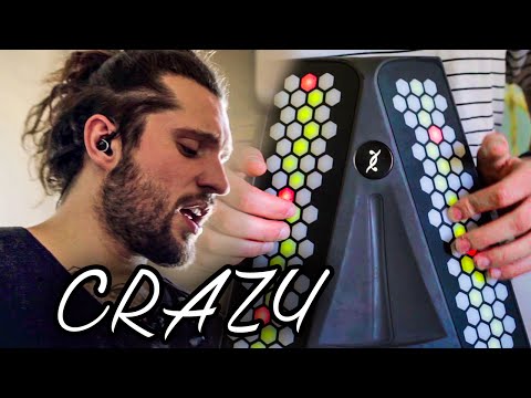 Crazy - Gnarles Barkley [DUALO Cover] by Julien Mueller