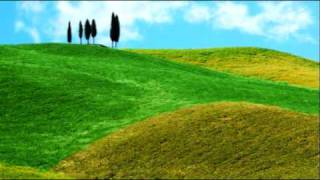 tony walker - fields of joy (flutlicht mix)