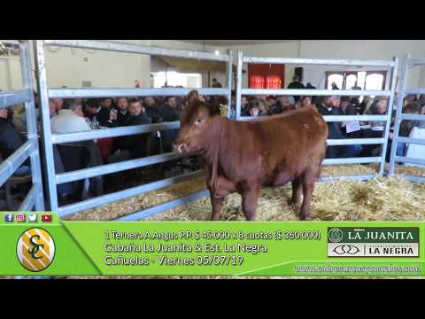 05-07-19 - Ventas de Terneras - Cabaña La Juanita & Est. La Negra - Cañuelas