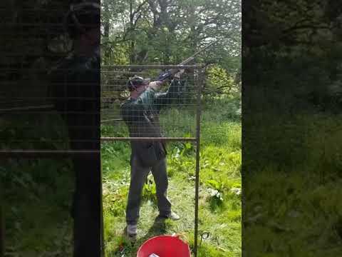 ベレッタ A303 セミオートショットガン (Beretta A303 semi auto shotgun)