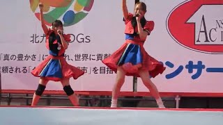 わっしょい100万夏祭り