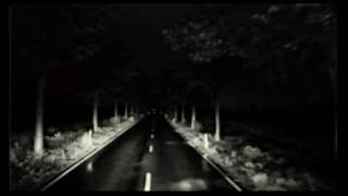 BROILERS - (sic!) Das neue Album erscheint am 03.02.2017