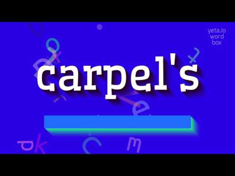 HOW TO PRONOUNCE CARPEL'S? #carpel's