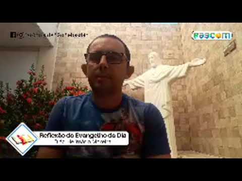 Reflexão do Evangelho do Dia - 08/07/2020