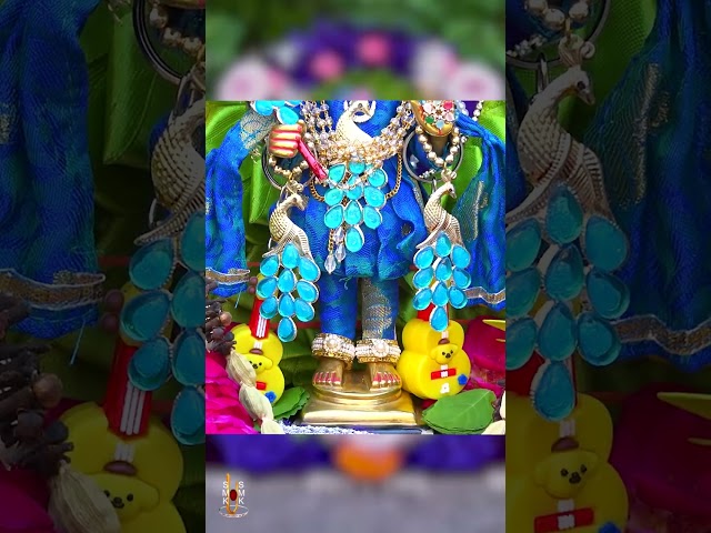હરિકૃષ્ણ મહારાજ