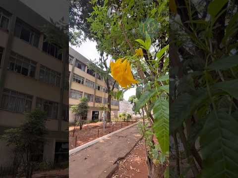 📍Brasília, Bairro Asa Sul, Quadra SQS 414. Apartamento de 3 quartos apenas R$ 595.000,00