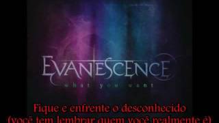 Evanescence - What You Want [Legendado]