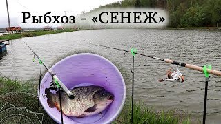 Отчеты о рыбалке озеро сенеж