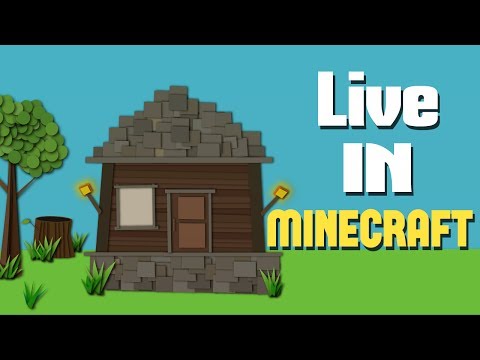 Live In Minecraft - Music Video