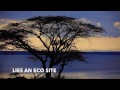 Africa Ethiopia Birds Animals And Nature Beautiful Video