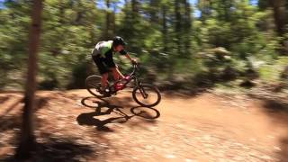 Samuel Buchanan-My Local