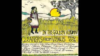 Cleaners From Venus — A Fool Like You