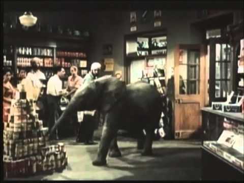 Henry Mancini　映画  「ハタリ」　子象の行進　Baby Elephant Walk　～ HATARI