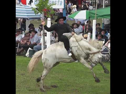Grupas del Domingo Sienta el TERRON en la Final de Villaguay Entre Rios