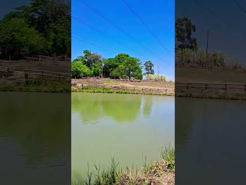 Goiás, Edealina, natureza, sítio, lago e paisagem linda