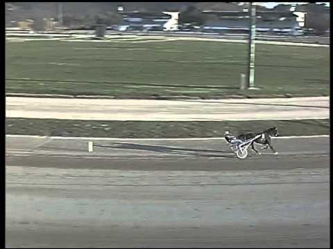 Trotto 19/02/2015 - 4° corsa