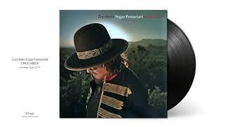 Zucchero Sugar Fornaciari | God Bless The Child