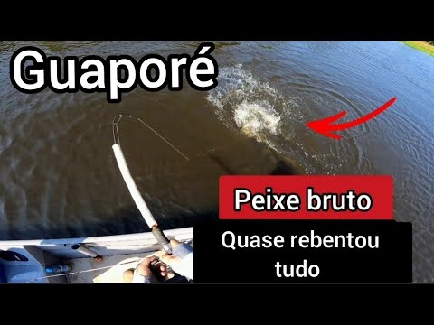 PESCARIADE TUCUNARÉ! Pescaria rio Guaporé...