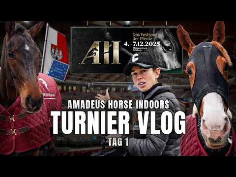 Amadeus Horse Indoors Vlog Tag 1