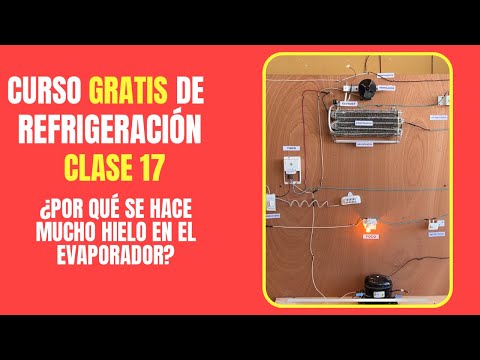 Ver en YouTube